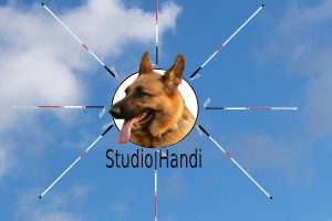 Studio Handi logo